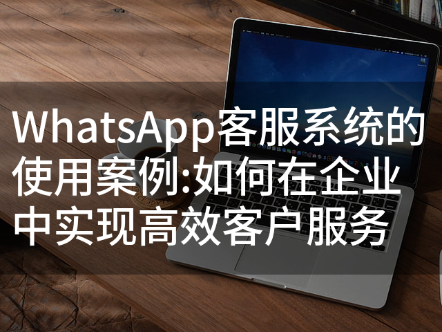WhatsApp客服系统的使用案例:如何在企业中实现高效客户服务
